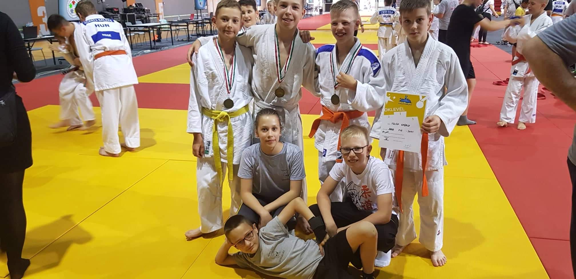 Serdülő és Junior Országos Judo Diákolimpia